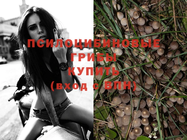 соль ск Алексеевка