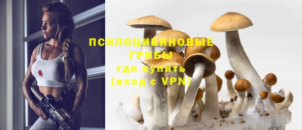 соль ск Алексеевка