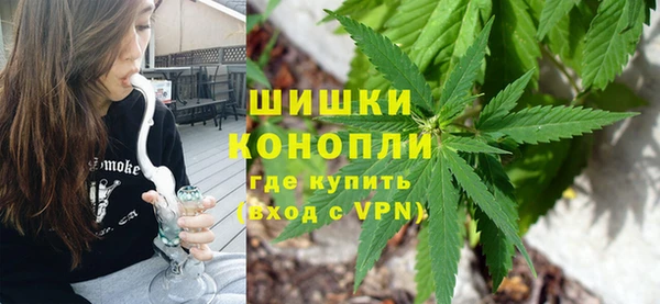 spice Алзамай