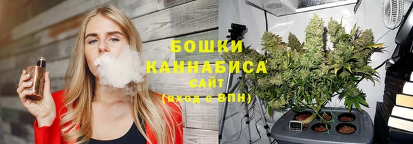 spice Алзамай