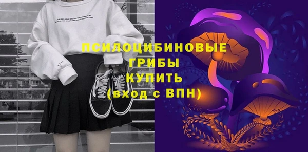 соль ск Алексеевка