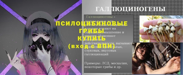 соль ск Алексеевка