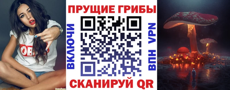 Псилоцибиновые грибы Cubensis Калязин
